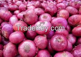 Fresh onion from india