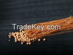 Sell organic black soybean noddles