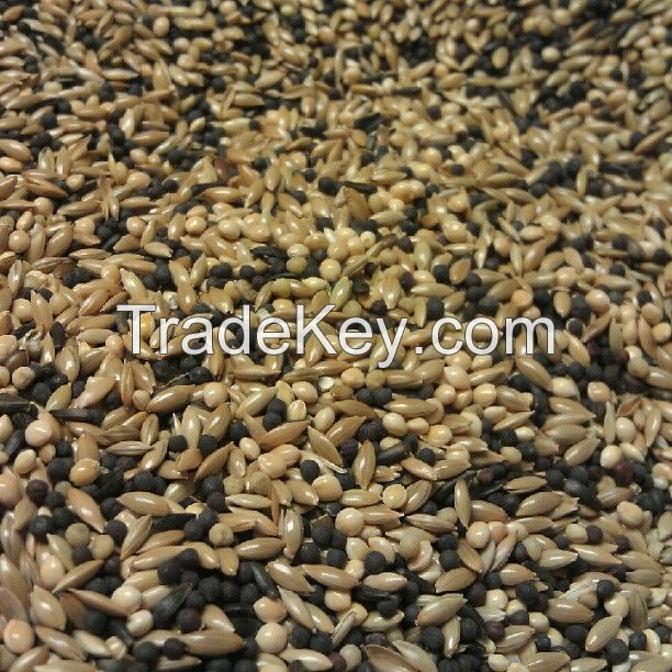 Canary Seed, Organic linseed, flax seed