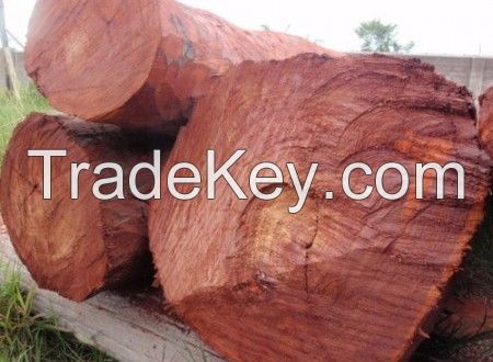 Quality A Grade Red sandalwood For sale