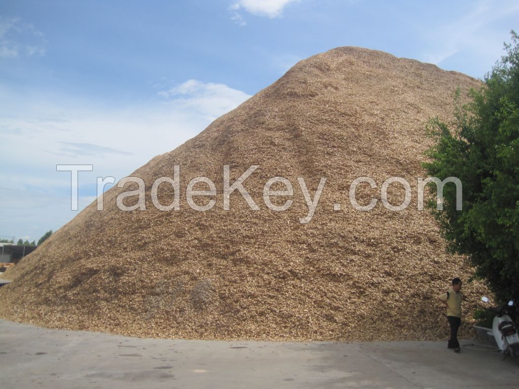 Acacia wood chips