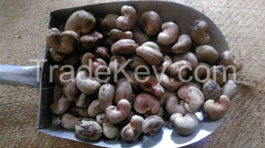 Offer raw cashew nut with shell from Tanzania