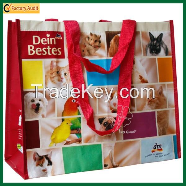 Eco-Friendly Customized Gift Shopping Laminated Bag (TP-LB212)