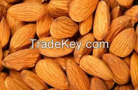 Peerless Out of Shell Almond 2015 California almond
