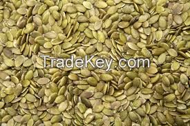 Organic GWS pumpkin seeds suppliers