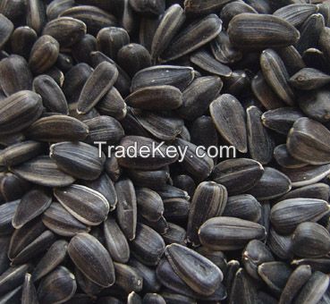 black Sunflower Seeds