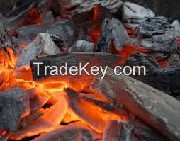 barbecue charcoal