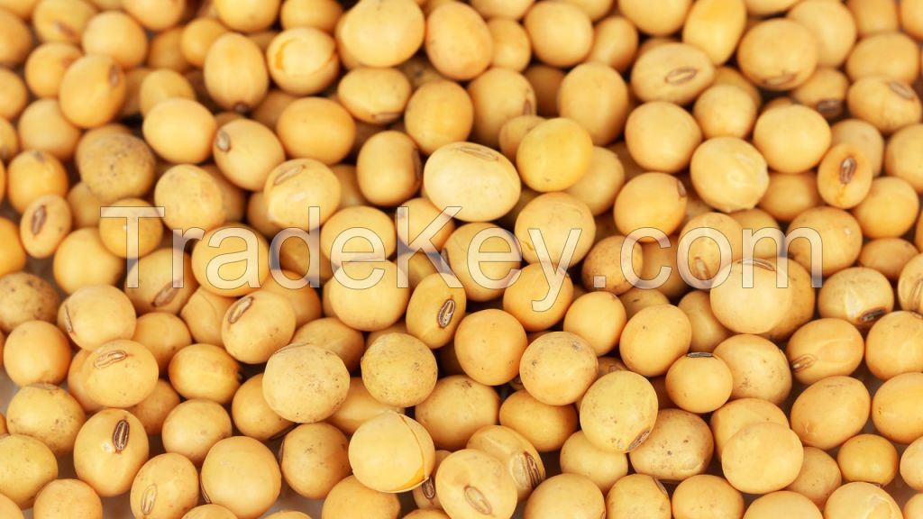 Soybeans