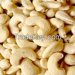 Clean Grade Dried Cashew Nuts