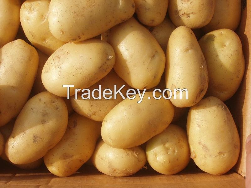 Fresh Raw Potatoes