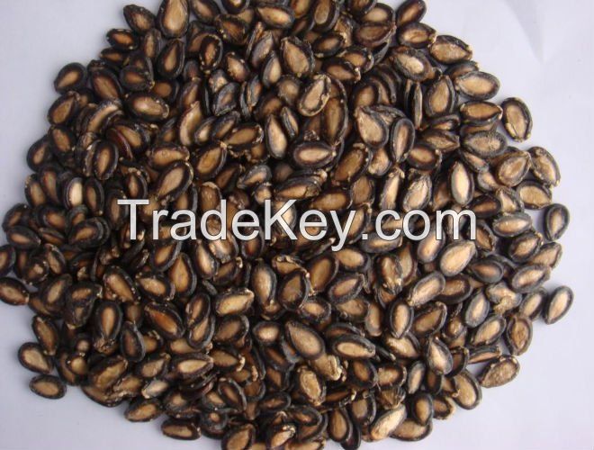 High quality melon seeds