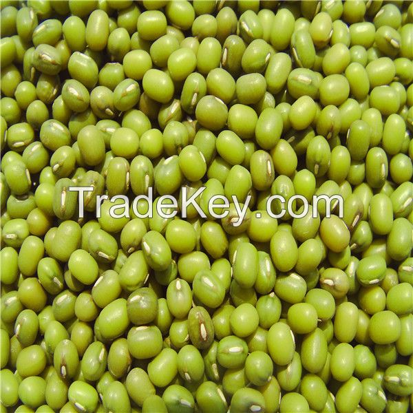 High Quality green mung bean for food