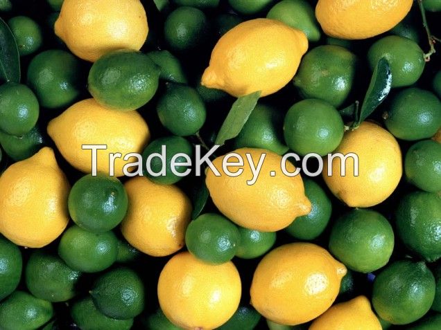 Fresh Lime and Lemons
