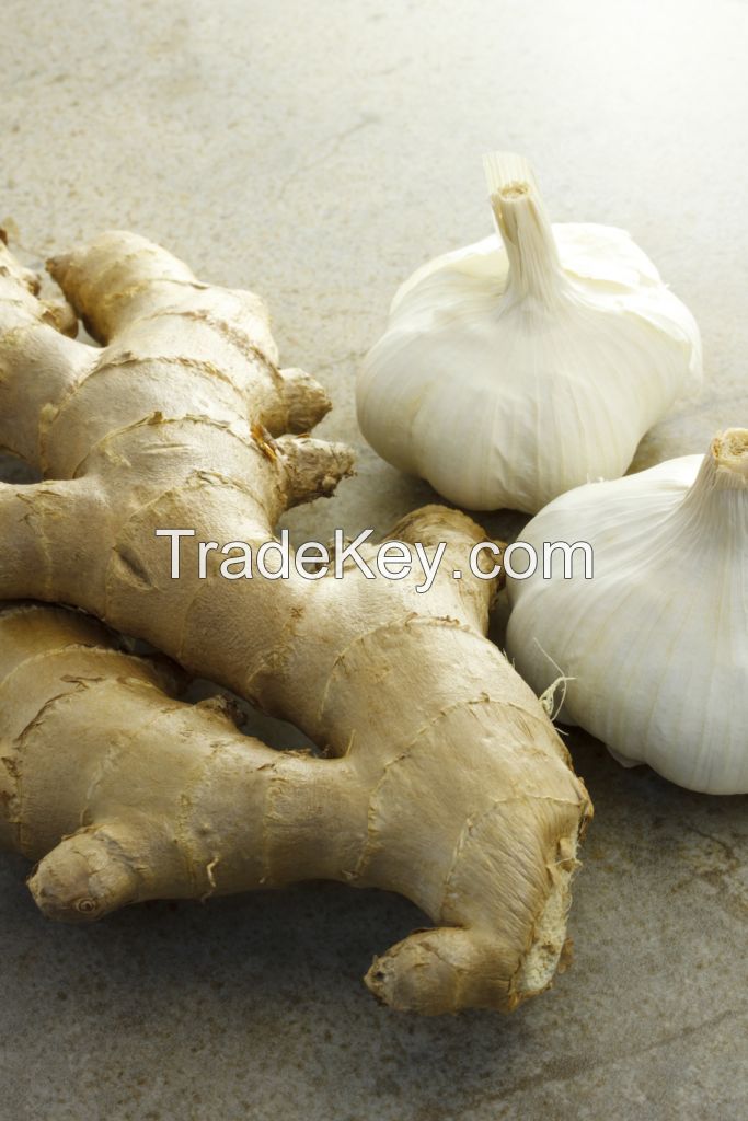 Fresh Ginger And Garlic For Sale