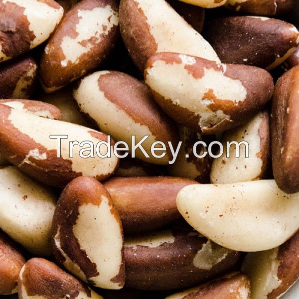 Top Quality Brazil nuts for sale.