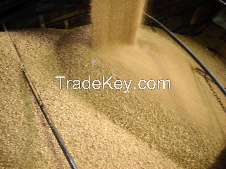 Organic Soybean meal for sale