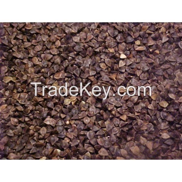 High Quality raw Sweet Buckwheat