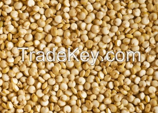 BEST QUALITY QUINOA SEEDS