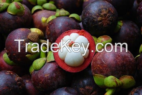 Organic fresh Mangosteen