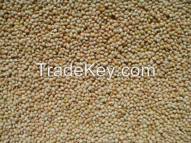 Top Quality Millet Grain