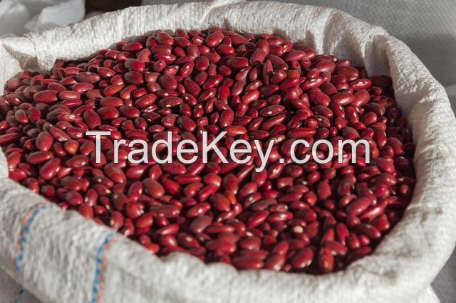 Organic Dried Red Kidney Beans, 2015