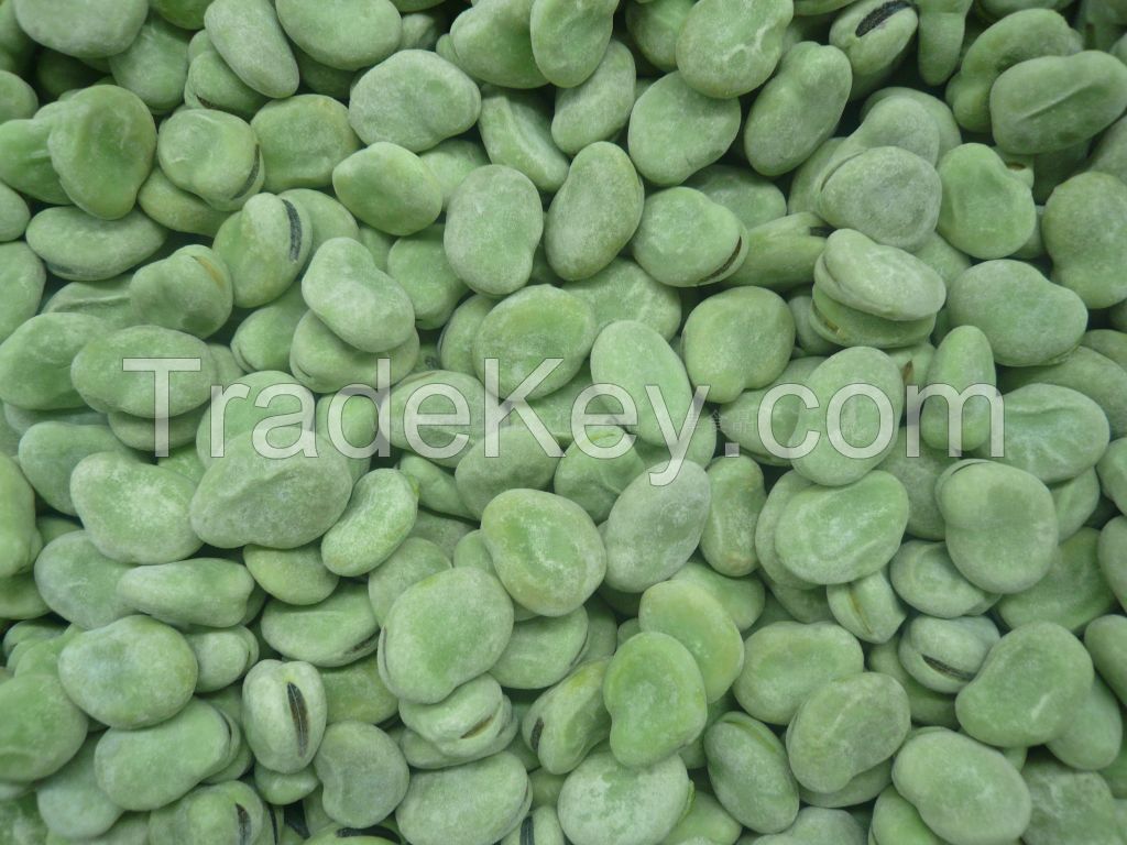 A grade frozen green broad beans