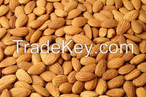 Almonds, nonpareil almonds for sell