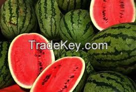 Fresh Melons