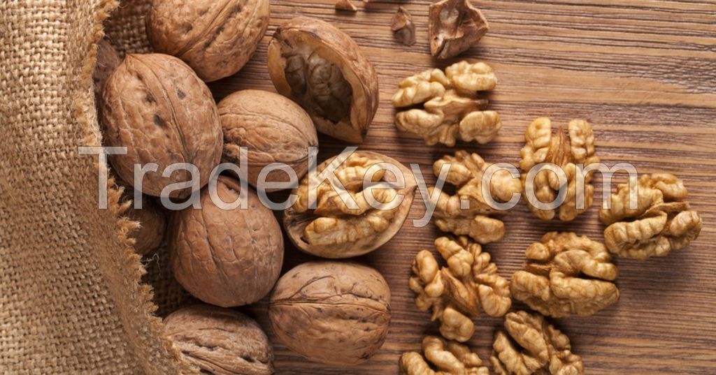 Quality and Cheap Walnuts