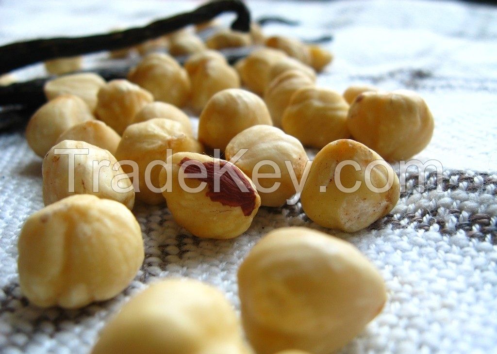 Hazel Nuts, Best Quality Hazel Nuts, Grade A Hazel Nuts