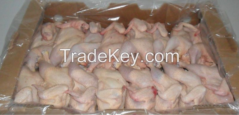 Frozen fresh chicken feets/ckicken breast, halal chicken