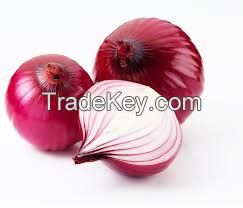 Fresh Red Onion