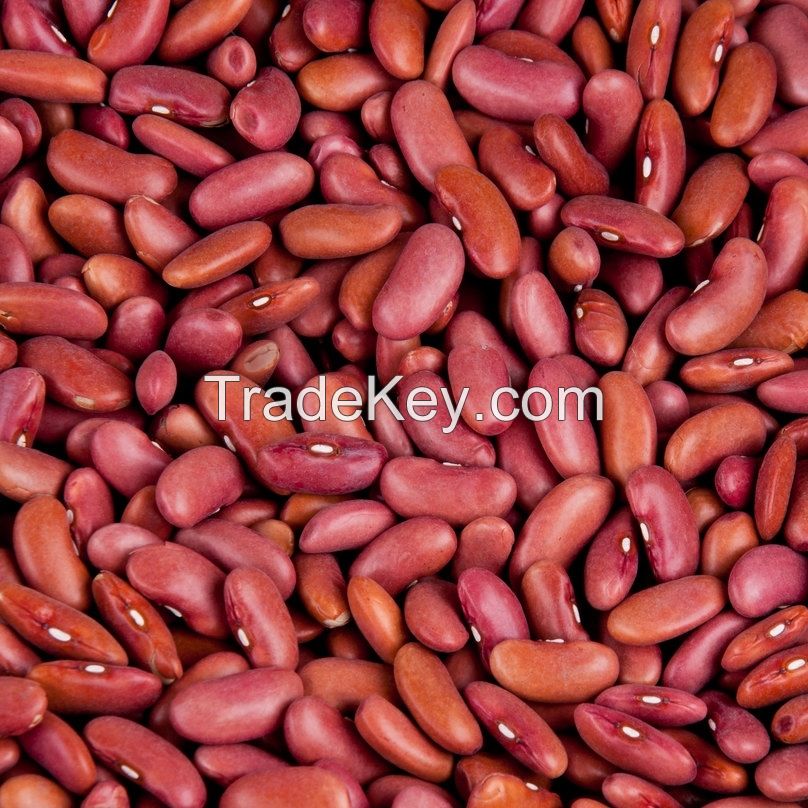 Red Kidney Beans