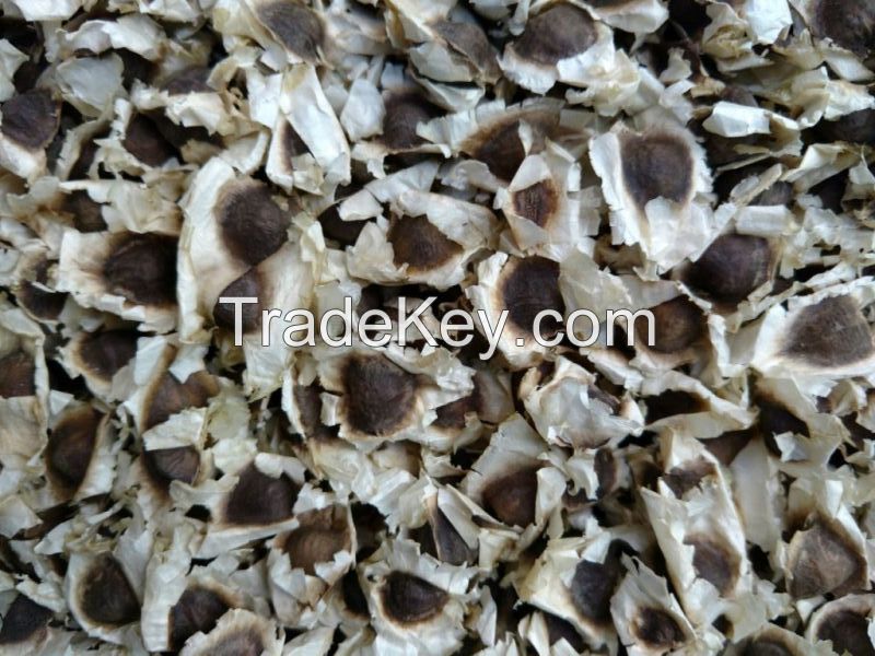 Selling Moringa Seeds, Moringa Leaves Powder and Moringa Seed Oil