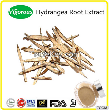 Hydrangea root extract/Dichroa febrifuga lour powder/High quality hydrangea root extract powder 10:1