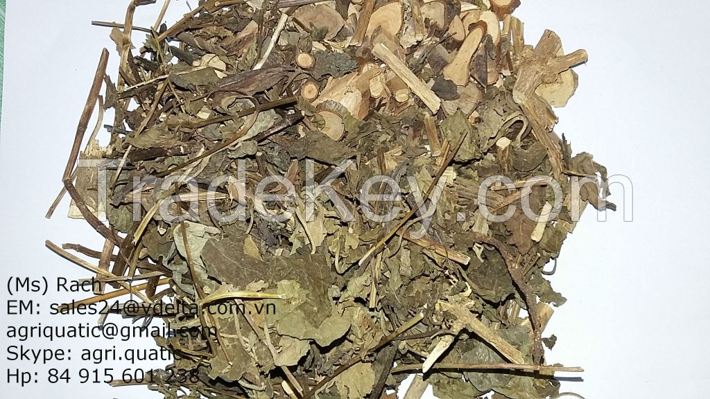 HERBAL LEAVES FOR COLD TREATING STEAMBATH