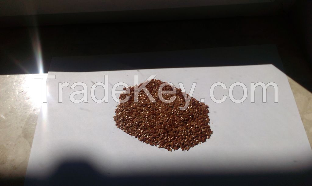 Flax seed 97 % Purity and 99, 5 % Purity