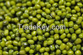 mung bean