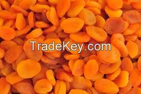 dried apricot for sale