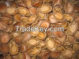 dried abalone