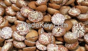 areca nut