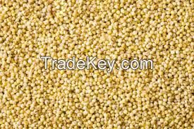 Red Millet, Yellow Millet, White Millet