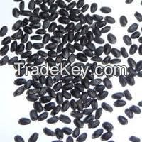 Tukmaria Seeds (Basil Seeds)