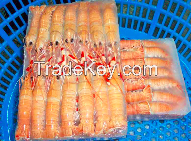 Frozen Whole Round IQF BQF Procambarus Clark II Crayfish / Crawfish