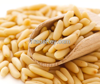 Pine nuts and Pine Kernel