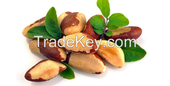 Brazil Nuts/Cashew Nuts/Apricot/Betel Nuts