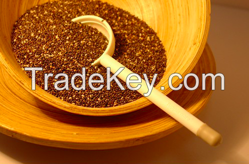 Bulk Chia seeds, wholesale chia seed