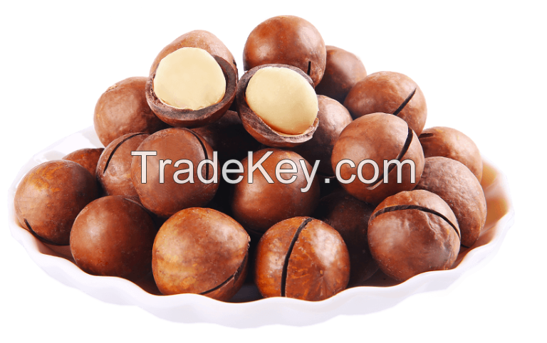 Shelled Macadamia nuts, bulk Macadamia