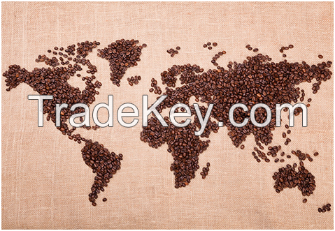 High Quality Arabica and Robusta Coffee