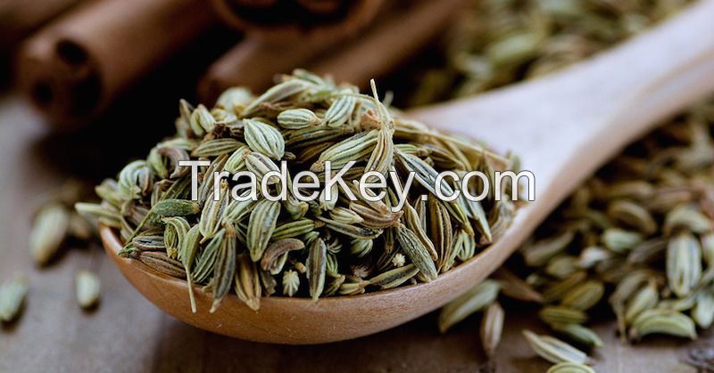 Cumin seeds and fennel seeds in tamil spice